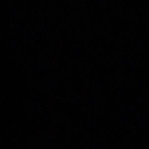 Meet your Posher, Shaun